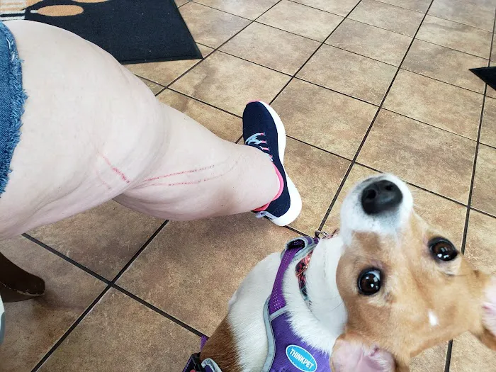 Animal Hospital of Lynchburg 12