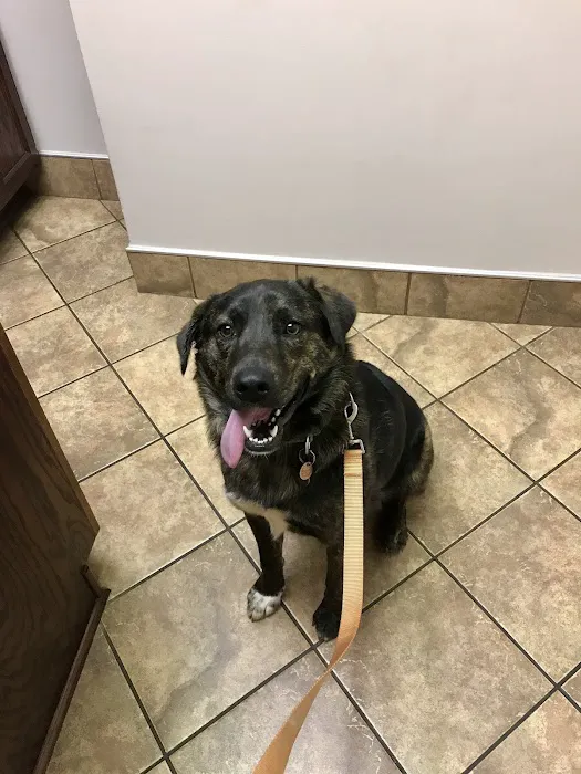 Animal Hospital of Lynchburg 12