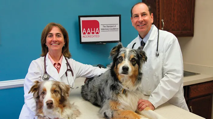 Animal Hospital of Lynchburg 12