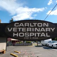 Carlton Veterinary Hospital ico