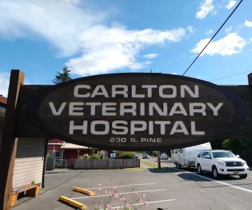 Carlton Veterinary Hospital