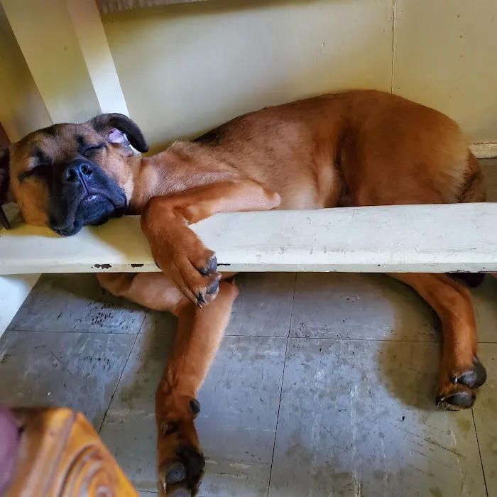 Carlton Veterinary Hospital 4