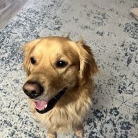 West Salem Animal Clinic ico