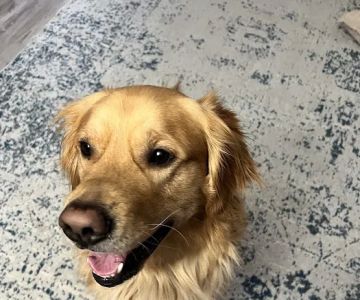 West Salem Animal Clinic