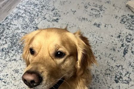 West Salem Animal Clinic