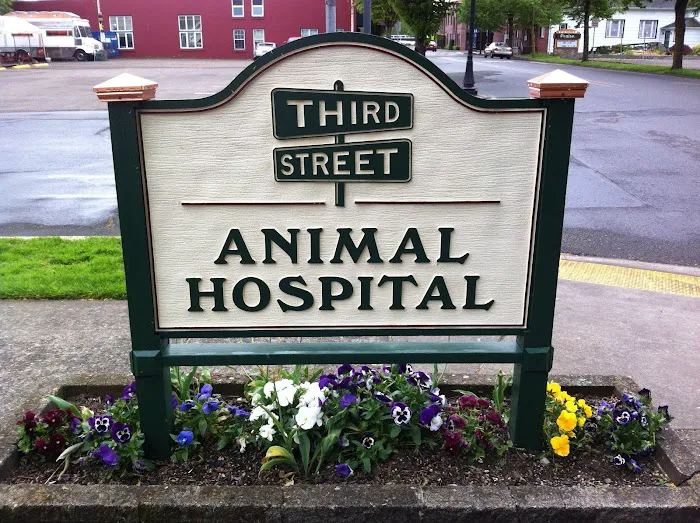 Third Street Veterinary Hospital 10