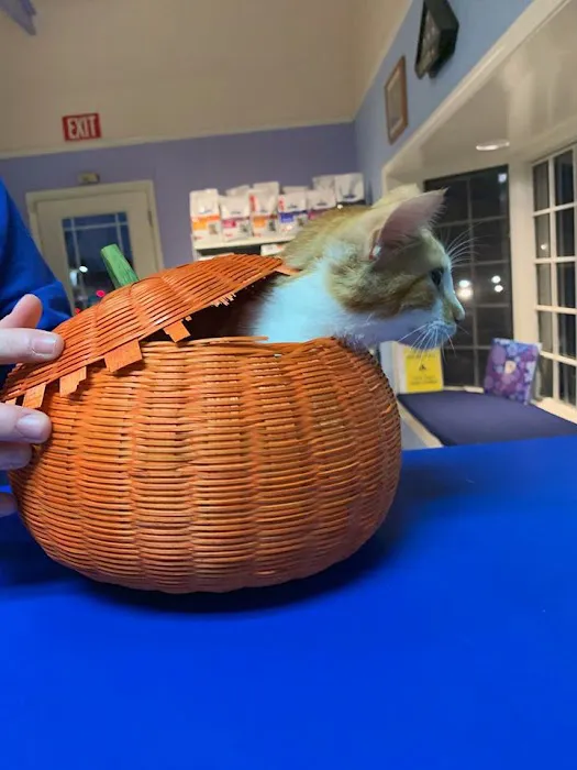 Third Street Veterinary Hospital 4