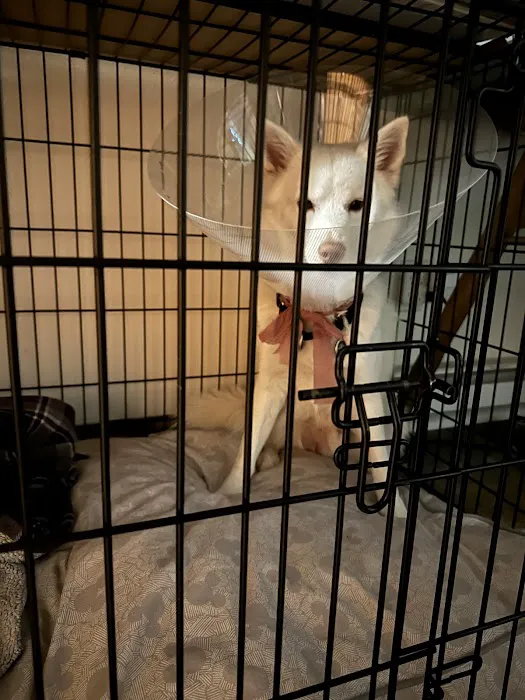 Homeward Bound Pets Spay and Neuter Clinic 10
