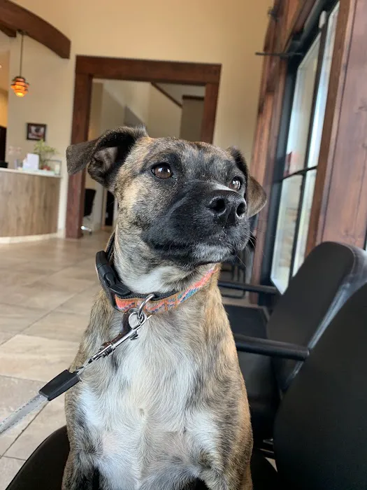 Baker Street Animal Hospital 8
