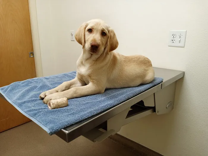Companion Pet Clinic McMinnville 6