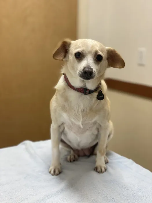 Companion Pet Clinic McMinnville 3