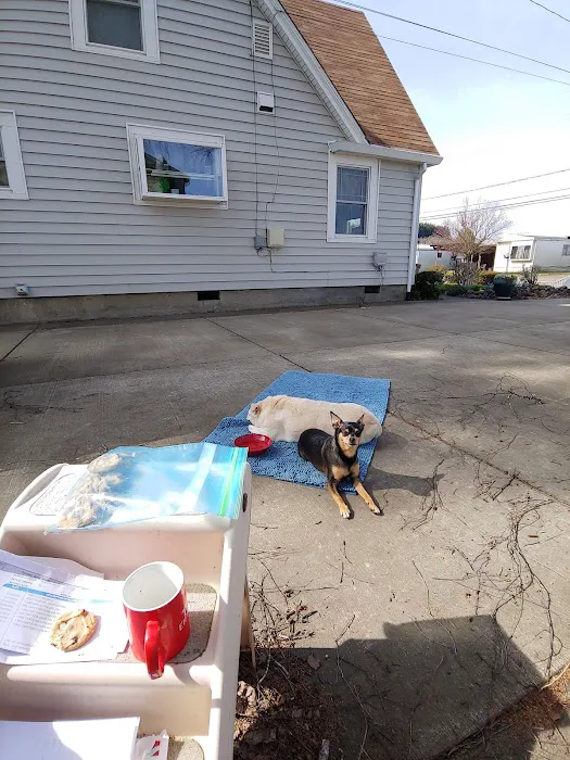 Companion Pet Clinic McMinnville 4
