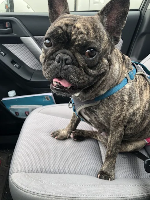 Companion Pet Clinic McMinnville 2