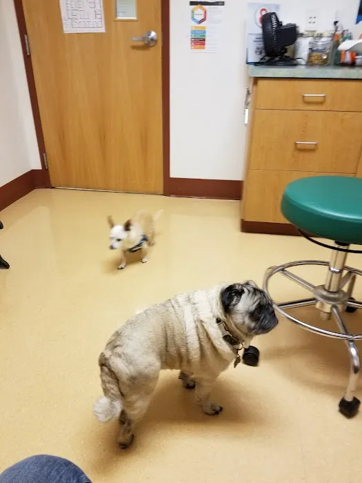 Albany Animal Hospital, Inc. Ken Fletcher, DVM and Payton Hunt, DVM 5