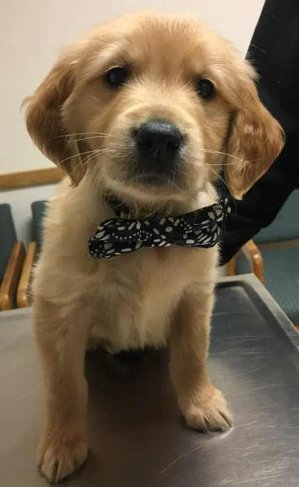 Albany Animal Hospital, Inc. Ken Fletcher, DVM and Payton Hunt, DVM 3
