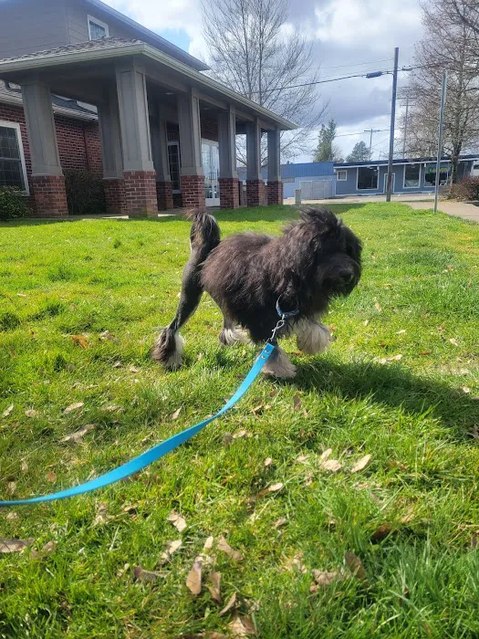Reid Veterinary Hospital Llc 6