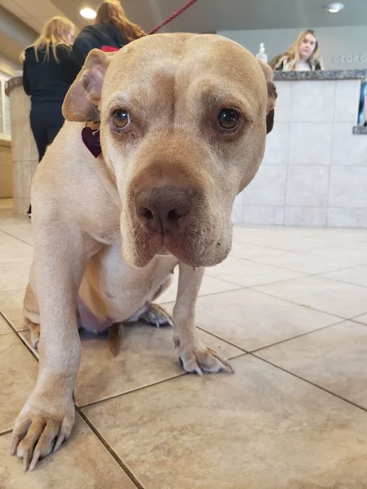 Reid Veterinary Hospital Llc 1