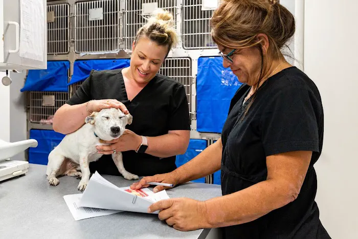 Reid Veterinary Hospital Llc 10