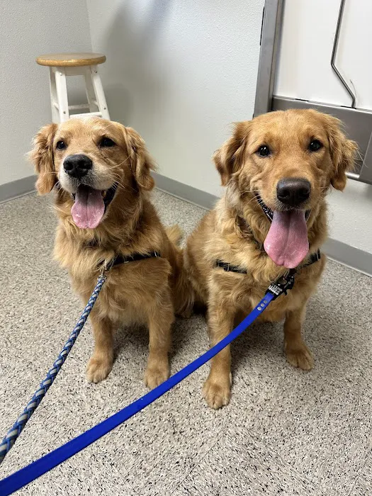Reid Veterinary Hospital Llc 9