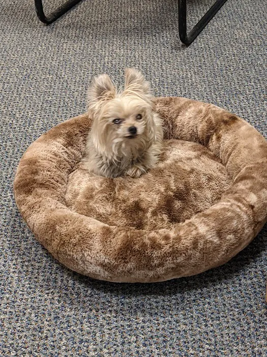 Reid Veterinary Hospital Llc 7