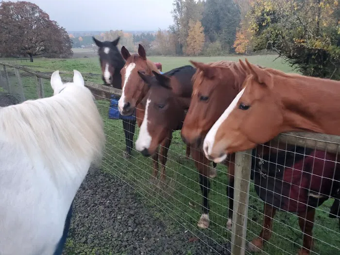 River's Edge Equine Center 6