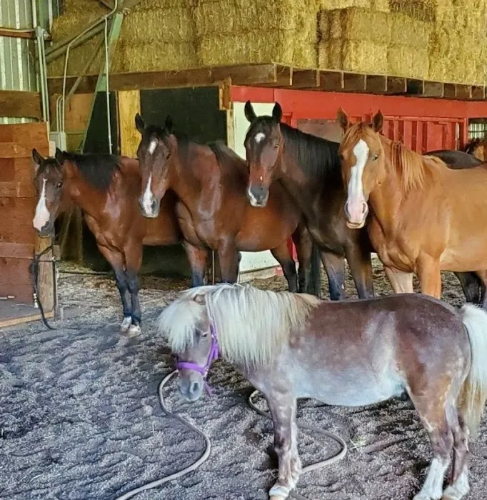River's Edge Equine Center 2