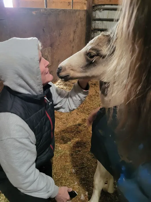 River's Edge Equine Center 1