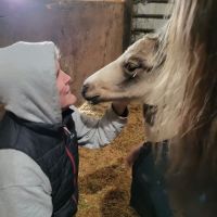 River's Edge Equine Center ico