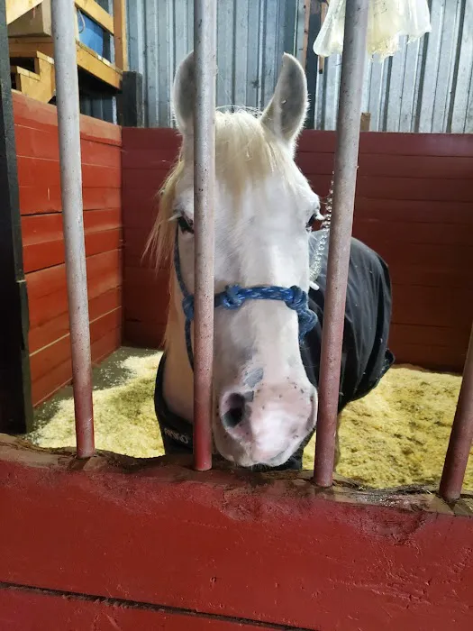 River's Edge Equine Center 4