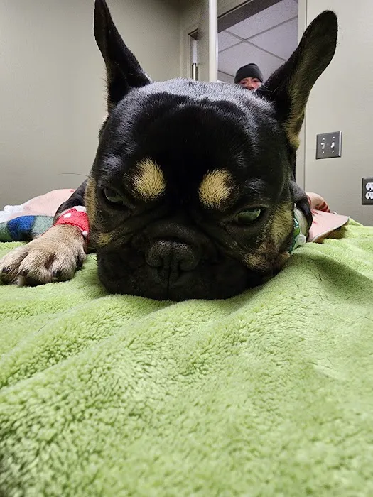 Linn Veterinary Hospital 8