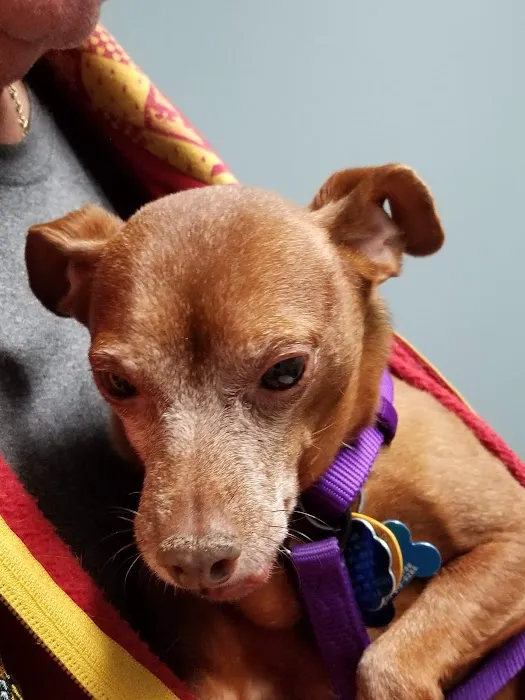 Linn Veterinary Hospital 5