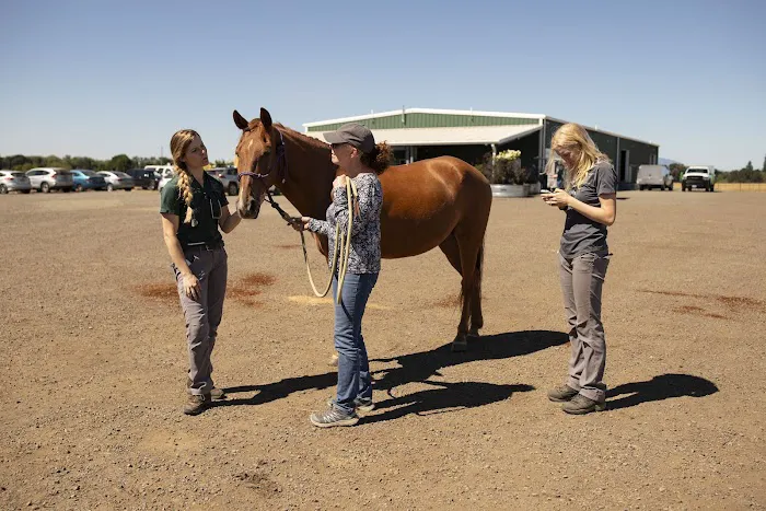 Cascadia Equine Veterinary Clinic and Rehabilitation Center 2