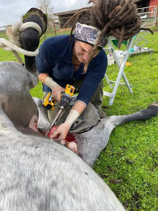 Cascadia Equine Veterinary Clinic and Rehabilitation Center 1