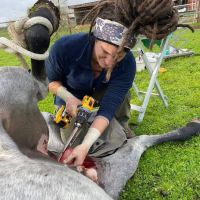 Cascadia Equine Veterinary Clinic and Rehabilitation Center ico