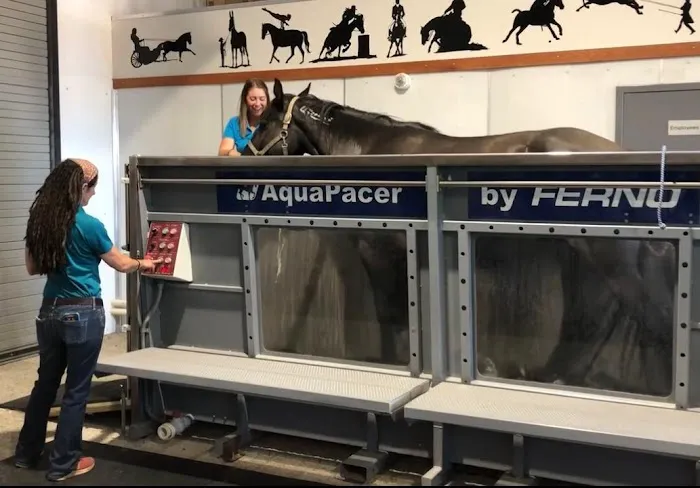 Cascadia Equine Veterinary Clinic and Rehabilitation Center 7