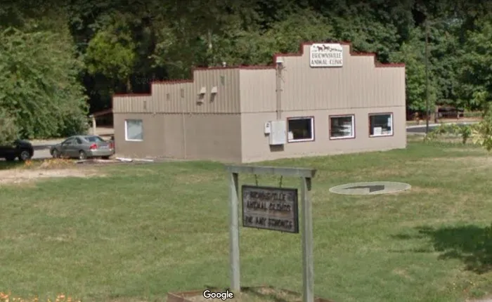 Brownsville Animal Clinic 5