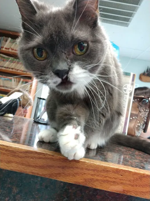 Brownsville Animal Clinic 6