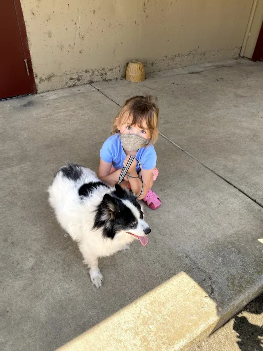 Brownsville Animal Clinic 10