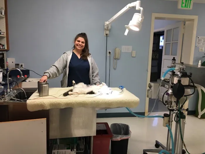 Sweet Home Veterinary Hospital 4