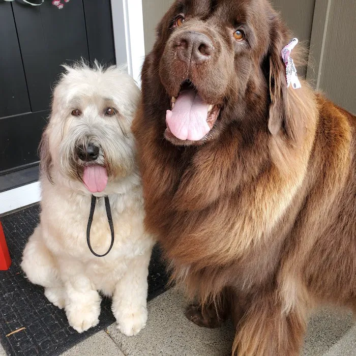 Sweet Home Veterinary Hospital 5