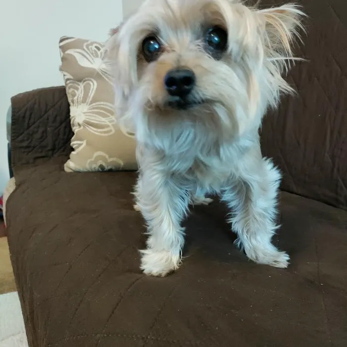 North Hollywood Animal Care Center 7