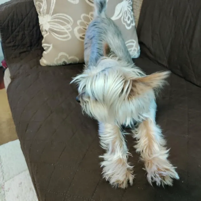 North Hollywood Animal Care Center 8