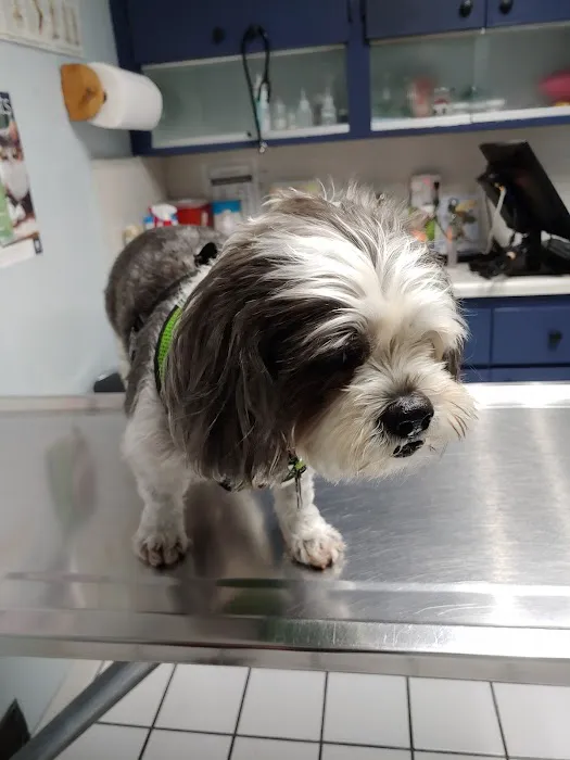 North Hollywood Animal Care Center 5
