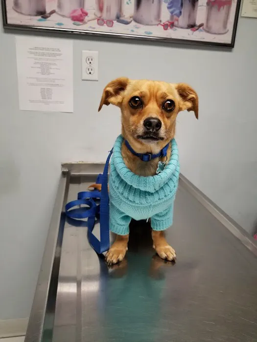 North Hollywood Animal Care Center 6