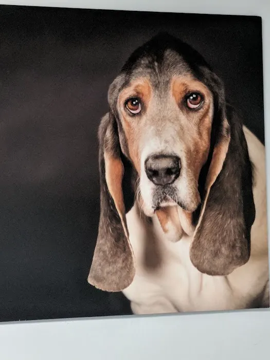 North Hollywood Animal Care Center 10