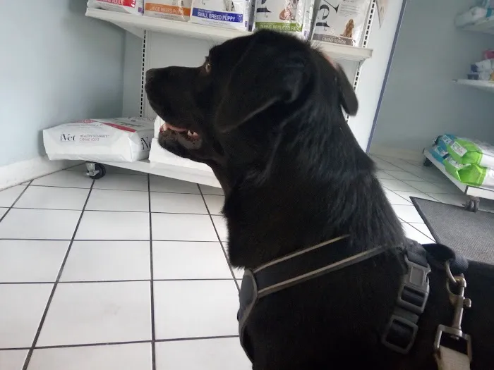 North Hollywood Animal Care Center 4