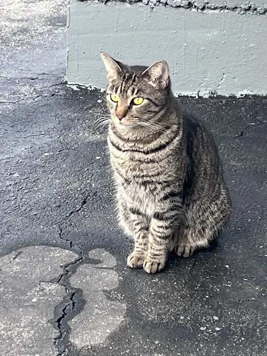 North Hollywood Animal Care Center 3