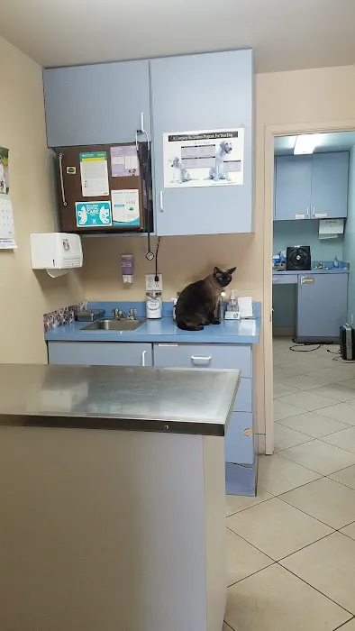 Aloro Pet Hospital 10