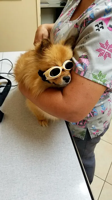 Aloro Pet Hospital 9