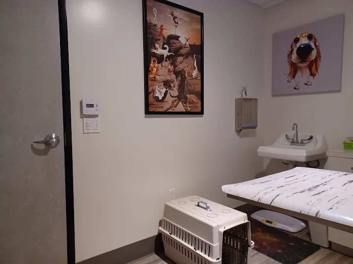 Animal Vision Care & Surgical Center 8